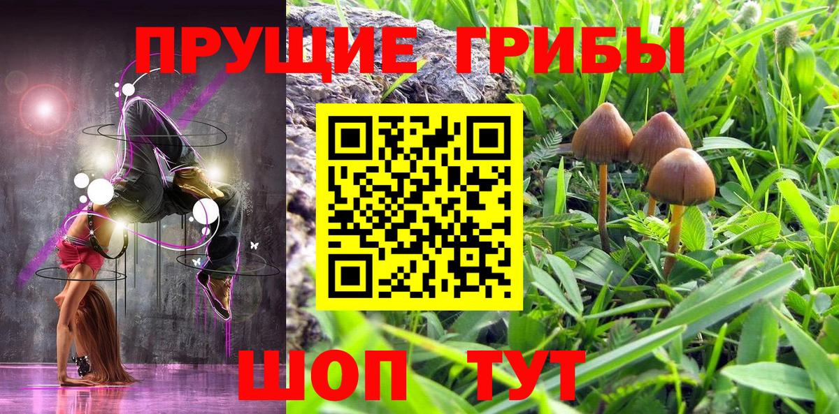 Галлюциногенные грибы Cubensis Лысьва